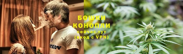 молекула духа Нея