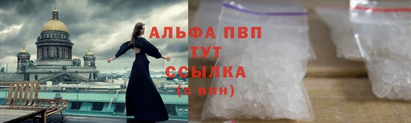 СК Нефтегорск