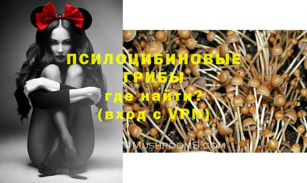 молекула духа Нея
